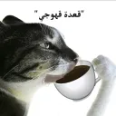 ☕ قعدة قهوجي