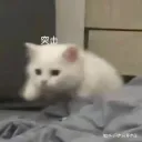 叭噗叭噗