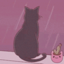 ᵈᵉˡⁱⁿᵠᵘᵉⁿᵗ ᵃʳᵐʸ ♡ {16+}