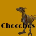 The Chocobos + The Boyz