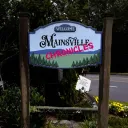 Mainsville Chronicles
