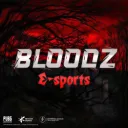 bloodz E-sports 🩸