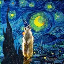 MeerKat025