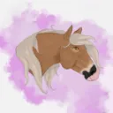 ：๑﹒🌸꒱꒱：𝒢𝗿𝗲𝗮𝘁 ℒ𝗮𝗱𝗶𝗲𝘀 𝒞𝗮𝗱𝗿𝗲 - rozwiązany