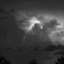 • legendary family