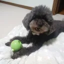 ブラックのゆるふわゲームコミニティ
