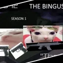 The Bingus Heists - Official Server