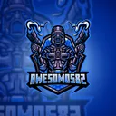 The Awesomo Experience
