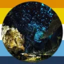 Glowworms AroAce Cave Discord Server Icon