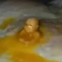 Egg's Carton
