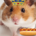 The Hamster Club Server Icon