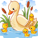 the duckie pond