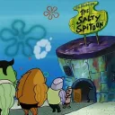 SaltyxSpitoon