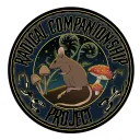 The Radical Companionship Project