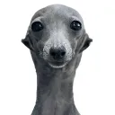 Fazbear ent. Discord Server Icon