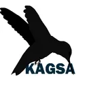 KAGSA Programming Language