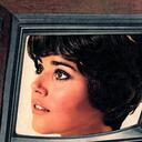 TV Girl Discord Discord Server Icon