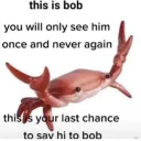 BOB discord icon