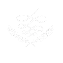 Go systems