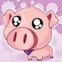 Piggy Pro