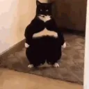 URMOM