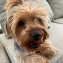 Unnamed Server Discord server icon