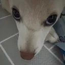 오옷