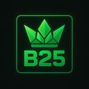 B25 icon