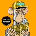 Official Bad Ape Sneaker Club