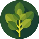 Pesto Finance
