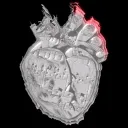 Grey_hart
