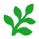 fern