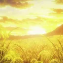 Solar Field — мониторинг Discord сервера, статистика и рейтинг