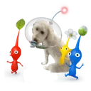 Glaceburntserver