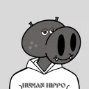 Human Hippo