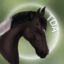 The Dressage Academy