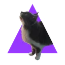 Gatsxzombie