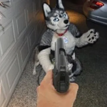 🗡Dog God — мониторинг Discord сервера, статистика и рейтинг