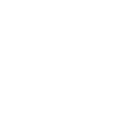 PFSN Fantasy
