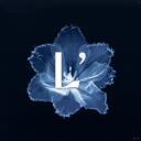 luvr’ Discord Server Icon