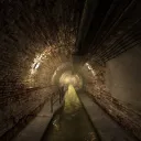 the sewer