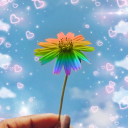 🌸Querencia~LGBTQ+ Server🌈