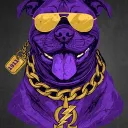 DAWGPOUND 🐶