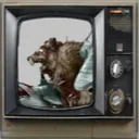 The SharkinbearTV Network