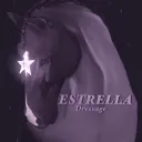 Estrella's Open Server