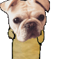 Nolliewog's Community Server