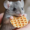 vicemice Discord Server Icon