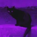 𝐧𝐮𝐞