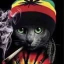 Skibidi Swag