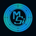 Meta-Silicon's server